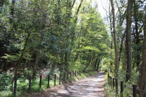 IMG_0973_640