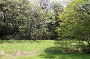 IMG_0985_640