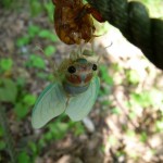 P1020461_640