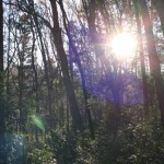 IMG_2820_640