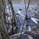 IMG_2833_640