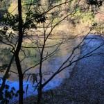 IMG_2842_640