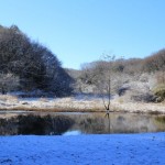 IMG_3315_640