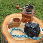②photo&picnic500×500