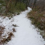 雪の中を歩くと・・・
