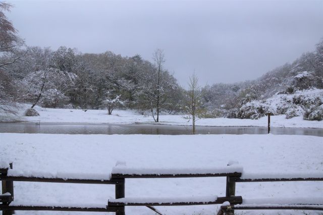 季節外れの積雪