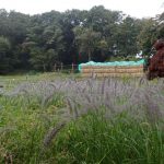雨の中の景色