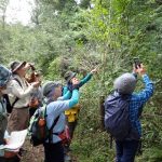 自然観察会～花と虫のつながりを観察！～