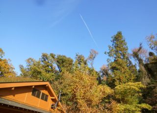 みどり森フェスタ