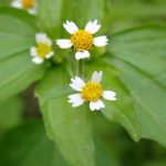 冬支度をする生き物たち