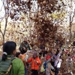 里山ようちえん カエル組～落ち葉で遊ぶの巻