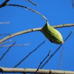 冬のお気に入り