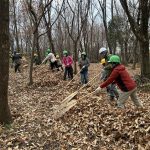 今年２回目の里山体験教室「落ち葉かきとごほうびの焼き芋の作り」