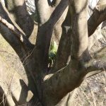 目線を変えると新たな発見