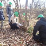 みどり森お助け隊現る！