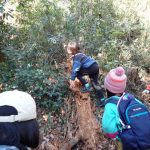 笑顔で終わった里山ようちえんカエル組